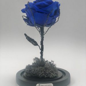 Μπλε αναλλοίωτο τριαντάφυλλο σε γυάλα Blue for ever rose